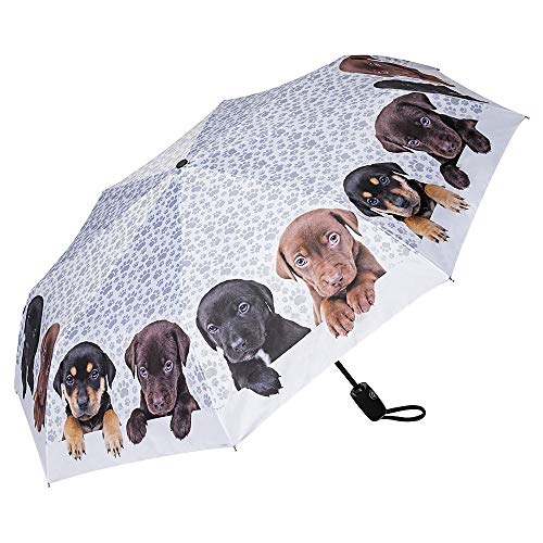 VON LILIENFELD Regenschirm Taschenschirm Welpenquartett Windfest Auf-Zu-Automatik Kinderschirm Stabil Leicht Kompakt